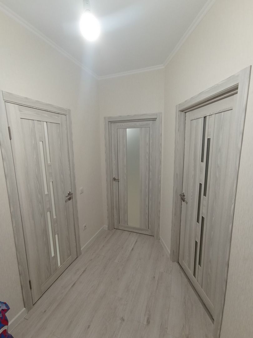 Q41 Клен айс